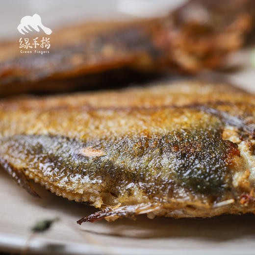 野生黄海偏口鱼（临期6折，还有一个月保质期，冷冻储存） | 合作生产 * Eco-flatfish|Coproduction 商品图2