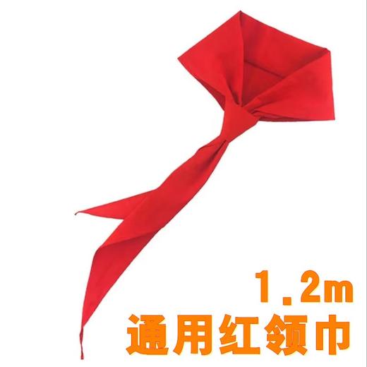 红领巾少先队小学生通用标准红领巾1条 商品图0