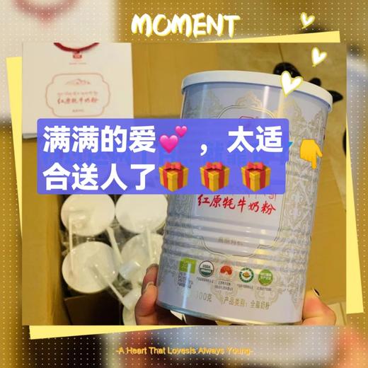 红原●有机牦牛奶粉(白罐) 商品图5