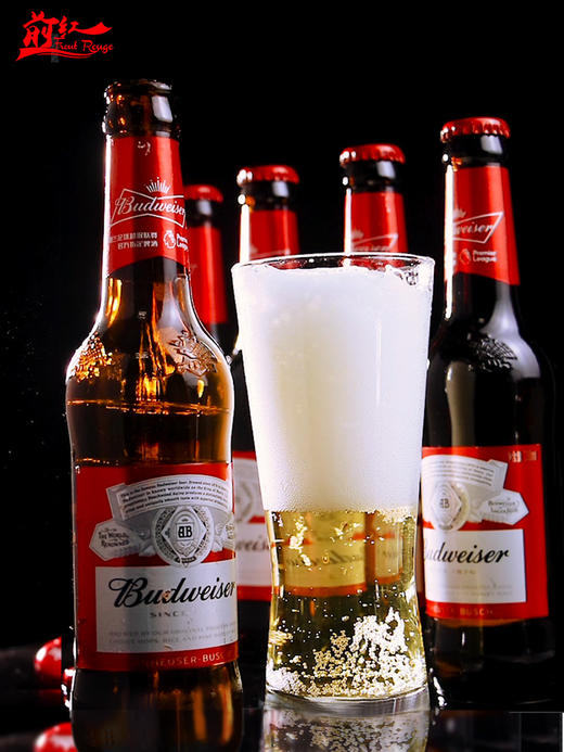 Budweiser百威瓶装啤酒美式拉格经典醇正330ml 商品图2