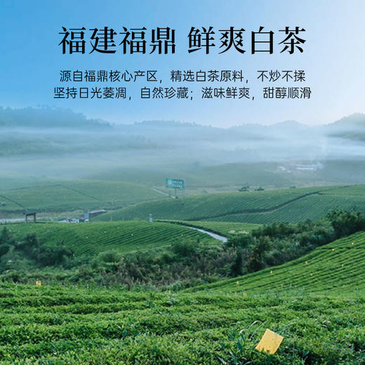 华祥苑-300g陈皮白茶小金饼 商品图2