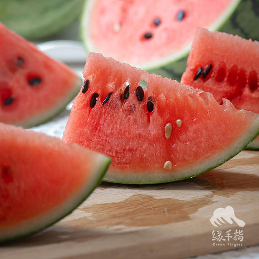 有机西瓜   | 合作生产 *Organic Watermelon| Coproduction 商品图3