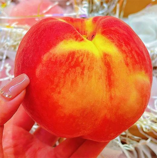 正宗北京水蜜桃10头装 | 水果 商品图1