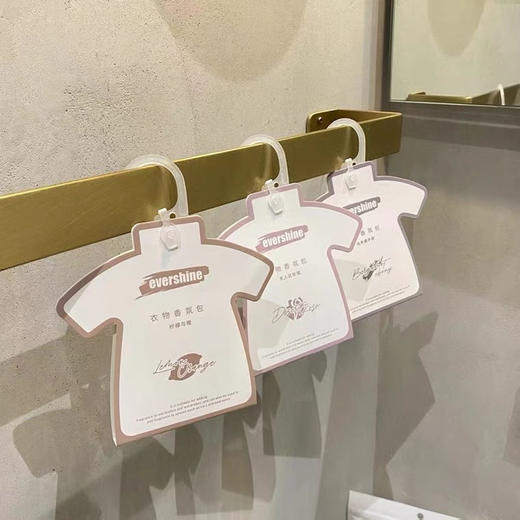 evershine衣柜香薰衣橱扩香片家用卧室内持久留香氛房间车载香挂 商品图0