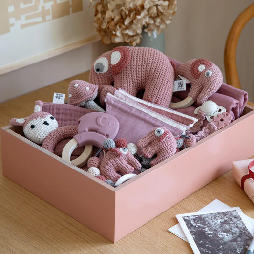 丹麦Sebra 硅胶牙胶 婴儿磨牙安抚神器硅胶宝宝磨牙牙胶 商品图2