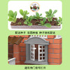 【升级带灯可种植小小泥瓦匠】高配版水溶再用多可多次搭建小小泥瓦匠diy手工造盖房子建筑师砌墙砖块水泥小屋男孩玩具儿童节礼物 商品缩略图3