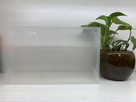 40元/把  岩透明塑料盒30泡装/每把50个/满300元包邮