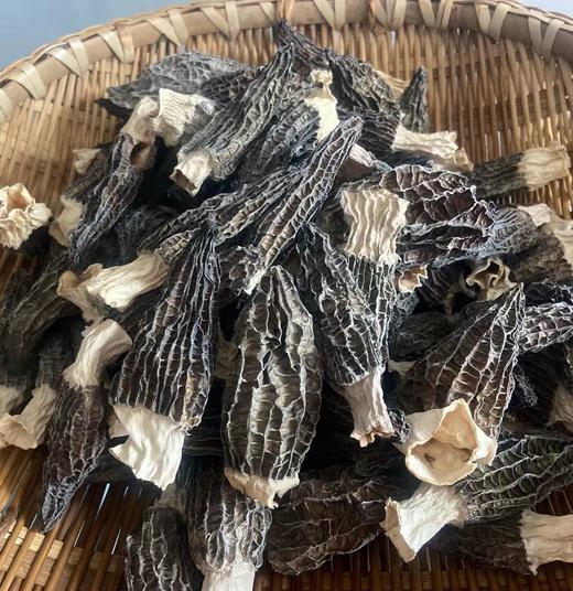 高山种植 精选精品羊肚菌干货 商品图4