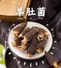 高山种植 精选精品羊肚菌干货 商品缩略图0
