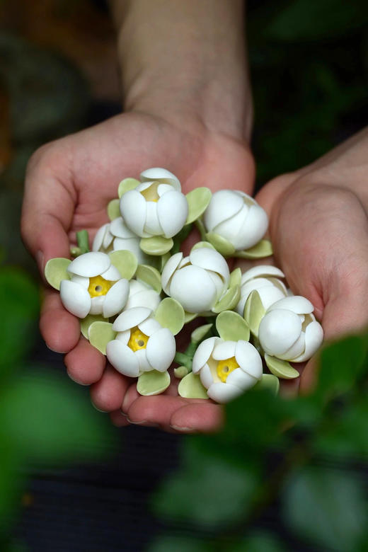 手捏瓷花°夜合花 商品图5