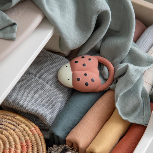 丹麦Sebra 硅胶牙胶 婴儿磨牙安抚神器硅胶宝宝磨牙牙胶 商品图5