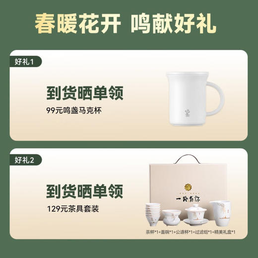 鸣盏｜紫外线杀菌烘干一体底部上水壶多段控温烧水壶 全自动上水电水壶 MZ151A嵌入茶盘370*200 商品图5