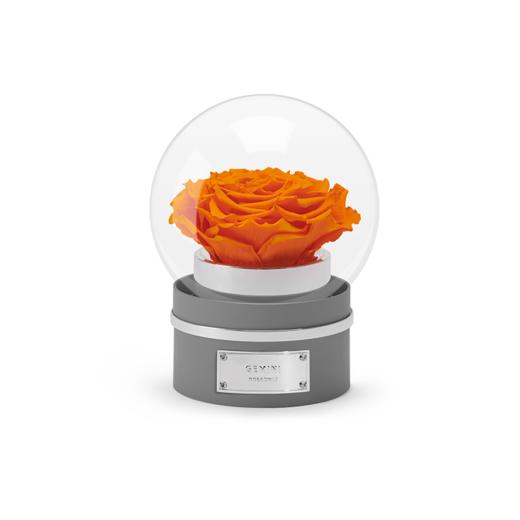 【音乐圆罩】ROSEONLY诺誓 永生玫瑰-音乐系列 悦慕马 十二星座音乐球玫瑰公仔 甜心兔熊猫公仔音乐球礼盒 送女友节日礼物 商品图12