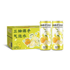 MM 山姆 DRINKSBA三柚佛手气泡水 310ml*20