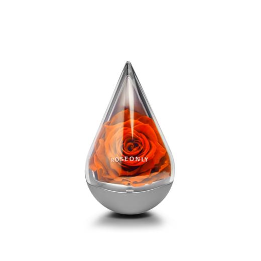 【星座水滴】ROSEONLY诺誓  永生玫瑰 星座经典 水滴玫瑰 红色  十二星座守护色 送女友爱人生日礼物 商品图9