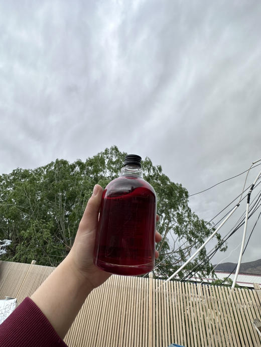 新鲜计划蜜桃清酒330ml 商品图5