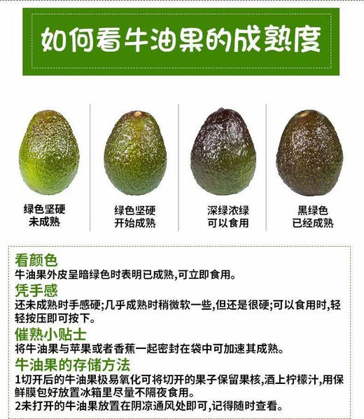 哈斯牛油果 商品图7