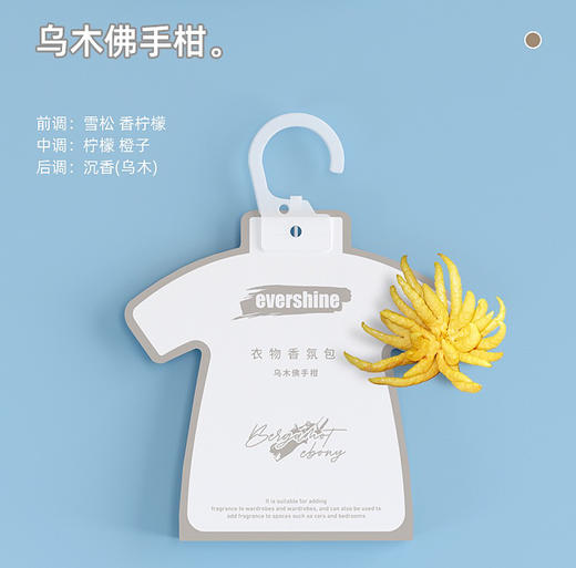 evershine衣柜香薰衣橱扩香片家用卧室内持久留香氛房间车载香挂 商品图10