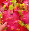火龙果（红肉）|进口水果 商品缩略图0