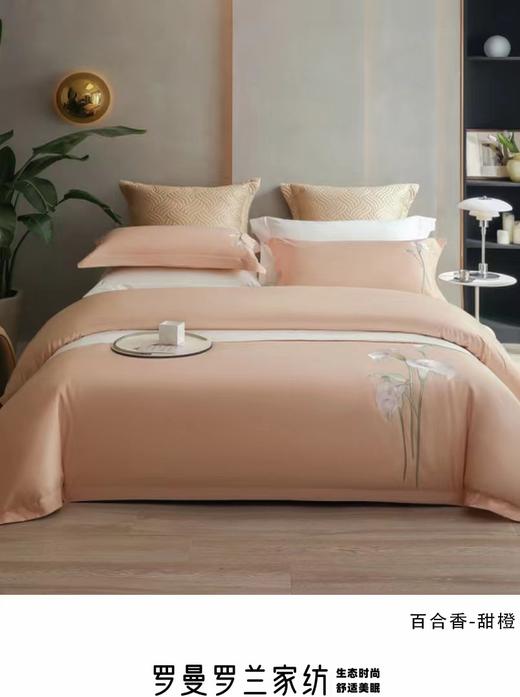 5F罗曼罗兰棉四件套200*260cm 商品图0