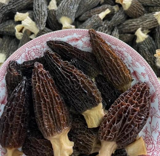 高山种植 精选精品羊肚菌干货 商品图6