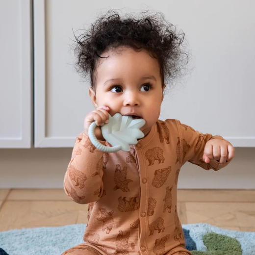 丹麦Sebra 硅胶牙胶 婴儿磨牙安抚神器硅胶宝宝磨牙牙胶 商品图7