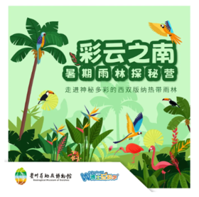 【贵地博】西双版纳·暑期雨林探秘营