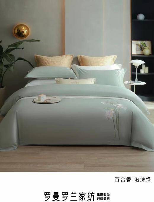 5F罗曼罗兰棉四件套200*230cm 商品图0