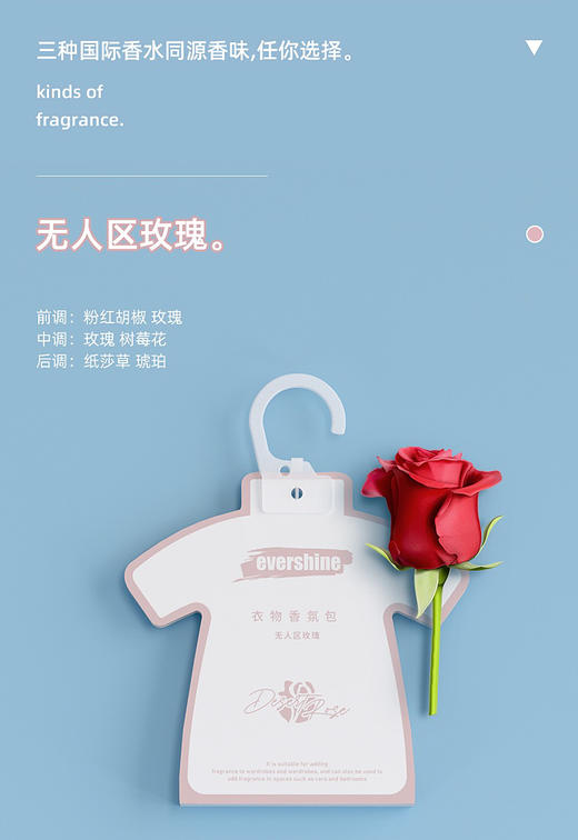 evershine衣柜香薰衣橱扩香片家用卧室内持久留香氛房间车载香挂 商品图9
