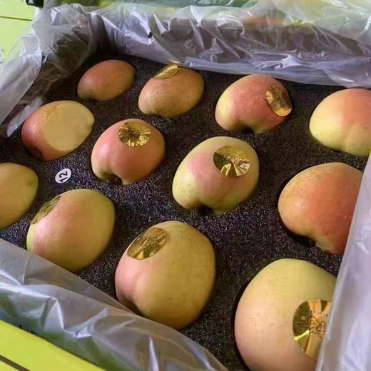 黄胖子苹果【件】 商品图0