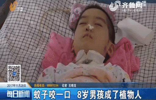  夏天好物，向蚊虫SAY NO！