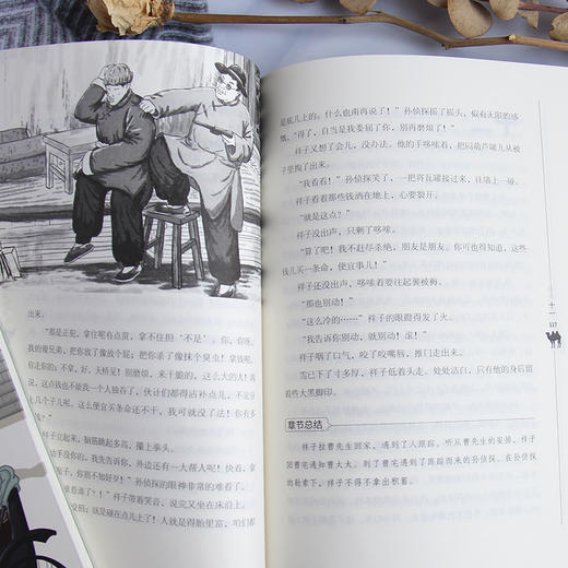 骆驼祥子 商品图7