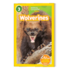 英文原版 NG Kids Readers L3 Wolverines 金刚狼 美国国家地理读本 英文版 进口英语原版书籍 商品缩略图1