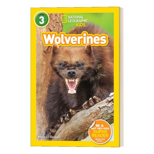 英文原版 NG Kids Readers L3 Wolverines 金刚狼 美国国家地理读本 英文版 进口英语原版书籍 商品图1