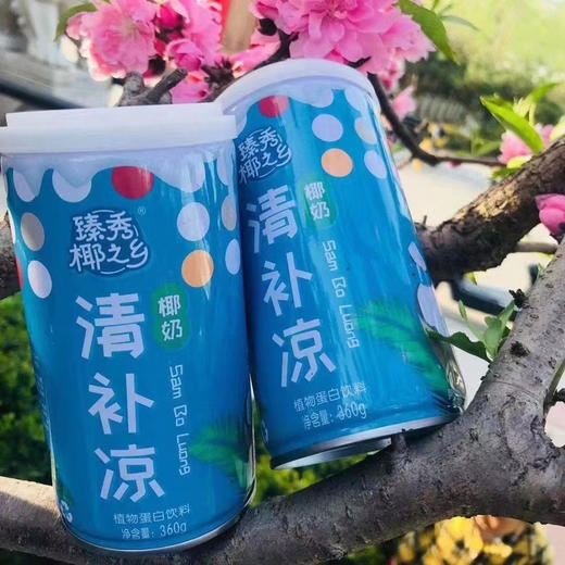 椰之乡清补凉 商品图0