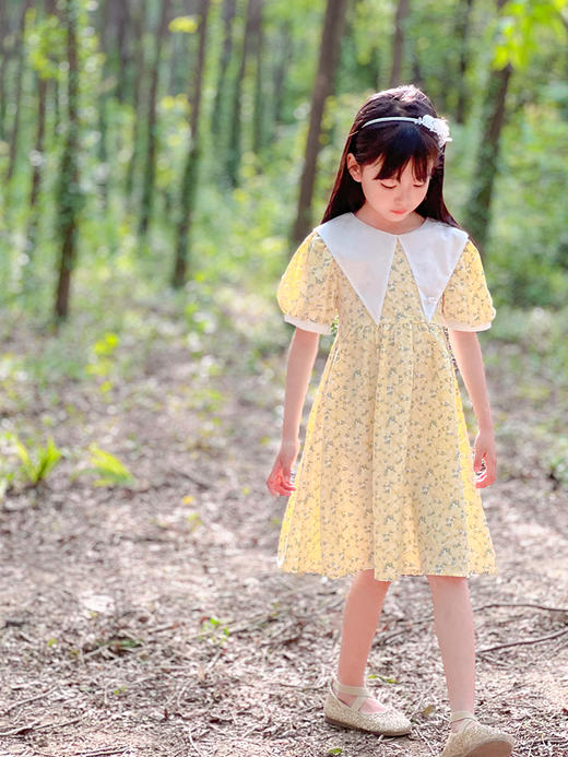 非质量问题不退不换哦~夏菊连衣裙 商品图2