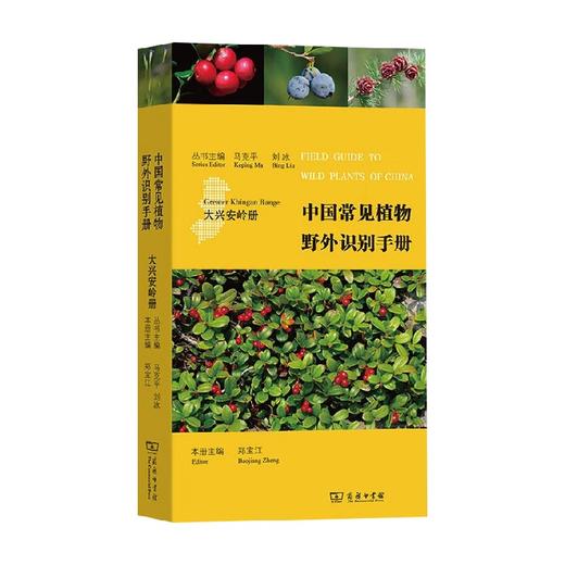 中国常见植物野外识别手册 大兴安岭册 马克平等 编著 科普读物 商品图1
