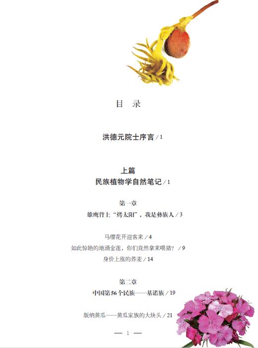 花木间的智慧：民族植物学自然笔记 商品图2