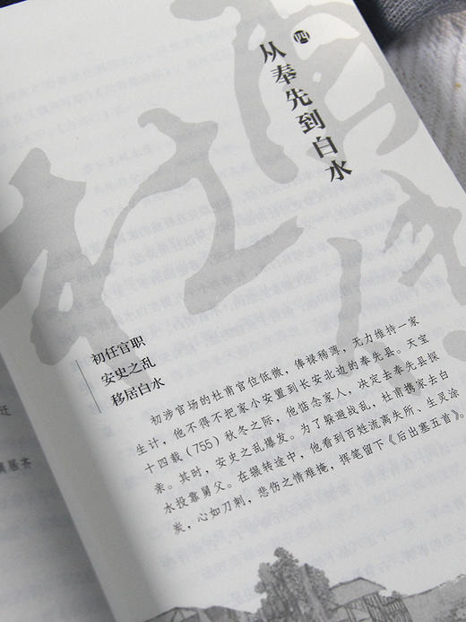 杜甫传 商品图3