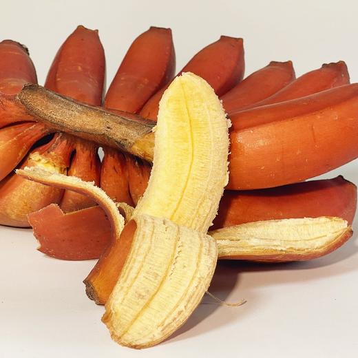 红美人香蕉/苹果蕉组合 商品图0