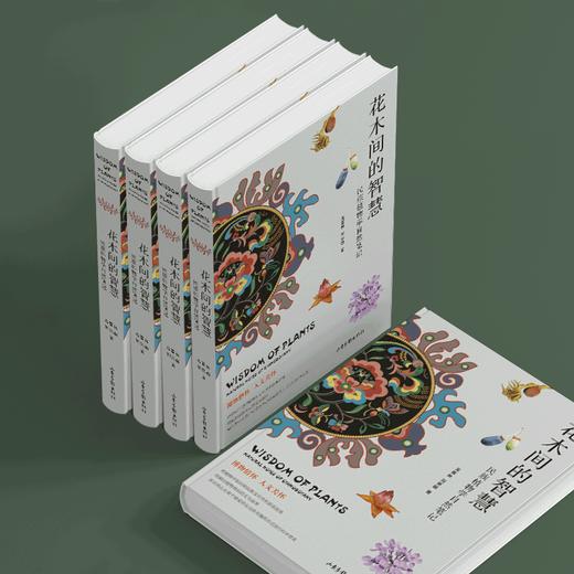 花木间的智慧：民族植物学自然笔记 商品图1
