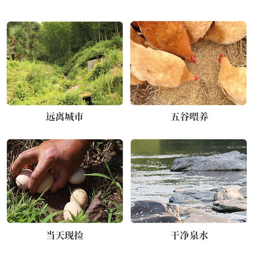 （分两个包裹）裕道府稻香鲜米5kg*2袋（单层真空装）+王明公农场现拣土鸡蛋30枚【鲜享1.5】 商品图4