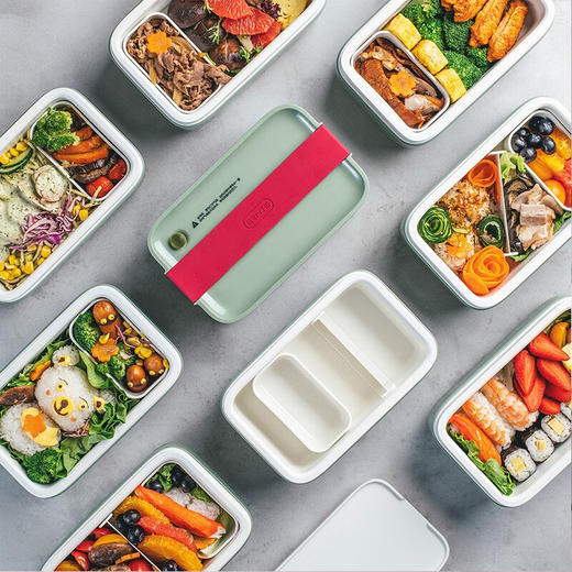 【分仓直发包邮】ERNTE便携加热饭盒700ml EFC-2001-OG 商品图1