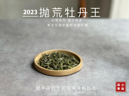 【2023春茶】2023抛荒牡丹王，冰雹加持下的高山白茶精灵，7年来首次推出的高品质白茶！ 商品图3
