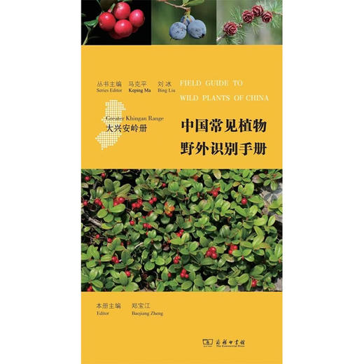 中国常见植物野外识别手册 大兴安岭册 马克平等 编著 科普读物 商品图0