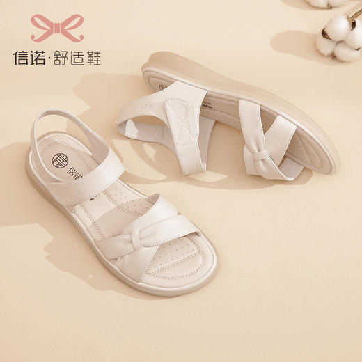 23L359-W16 商品图2