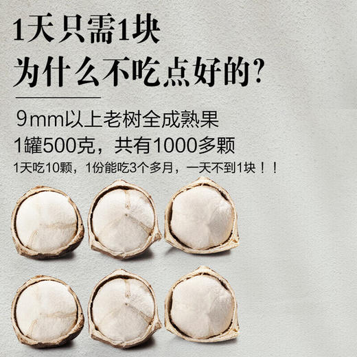 神农金康 成熟大果辣木籽250g/罐 原生态真滋补 喝护家人健康 商品图3