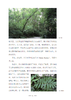 花木间的智慧：民族植物学自然笔记 商品缩略图7