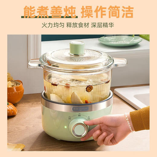 【分仓直发包邮】东菱养生锅DL-9002（深野绿、薄荷绿颜色可备注） 商品图4