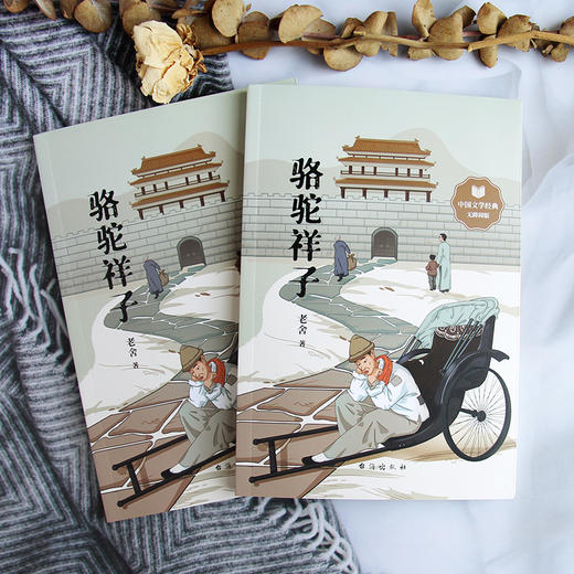 骆驼祥子 商品图4